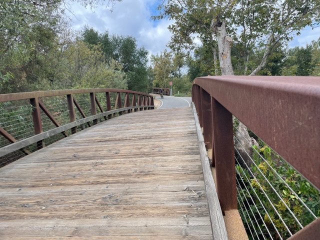 SHADY CANYON TRAIL